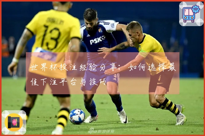 世界杯投注经验分享：如何选择最佳下注平台与技巧