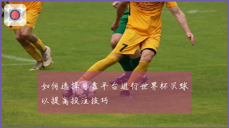如何选择可靠平台进行世界杯买球以提高投注技巧