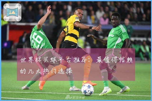 世界杯买球平台推荐：最值得信赖的几大热门选择