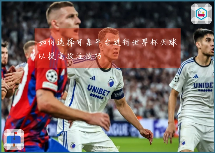 如何选择可靠平台进行世界杯买球以提高投注技巧
