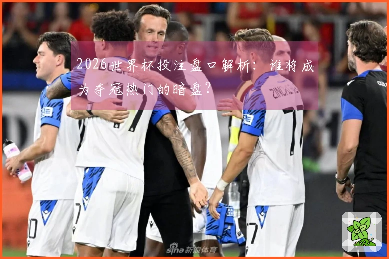 2026世界杯投注盘口解析：谁将成为夺冠热门的暗盘？